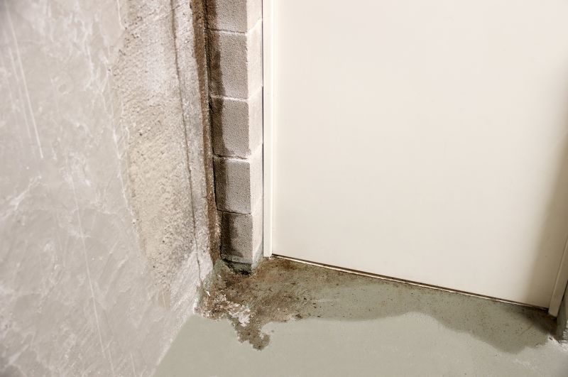 Leaking Basement Repair in Fort Collins, CO