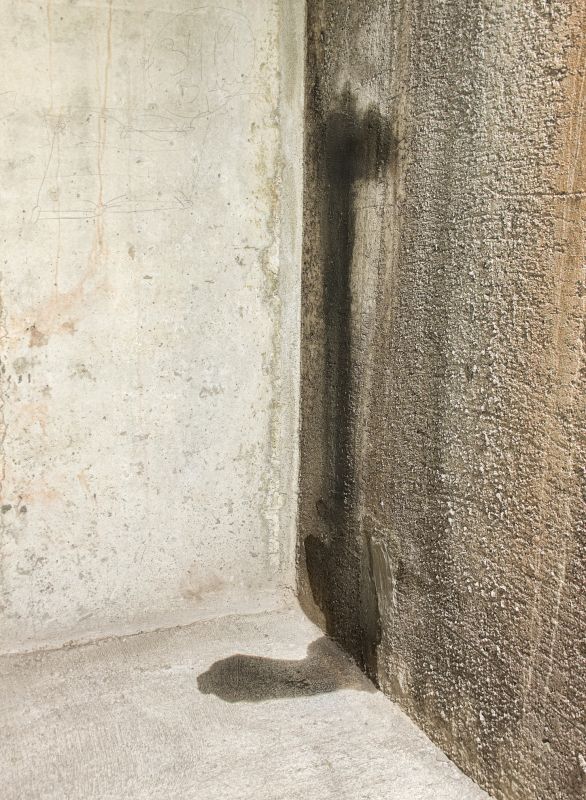 Leaking Basement Repair in Fort Myers, FL